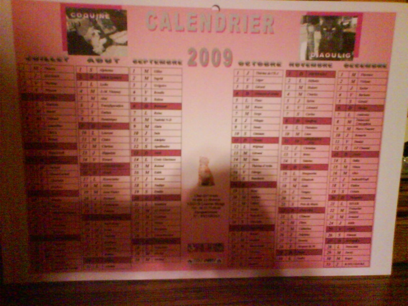 calendrier 2009 - Page 2 Dsc00410