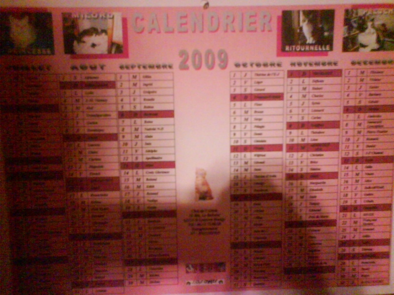 calendrier 2009 - Page 2 Dsc00411