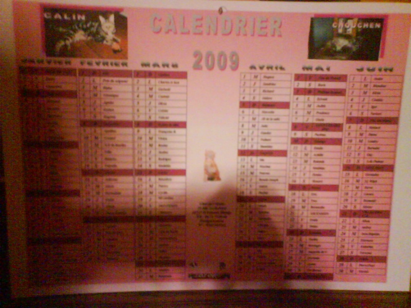 calendrier 2009 - Page 2 Dsc00413