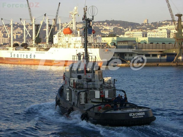 الصناعة البحرية الجزائرية 111