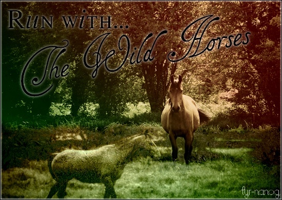 Run with the WILD horses