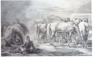 Les chevaux dans la Grande Armée Numari25