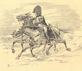 Les chevaux dans la Grande Armée Numari28