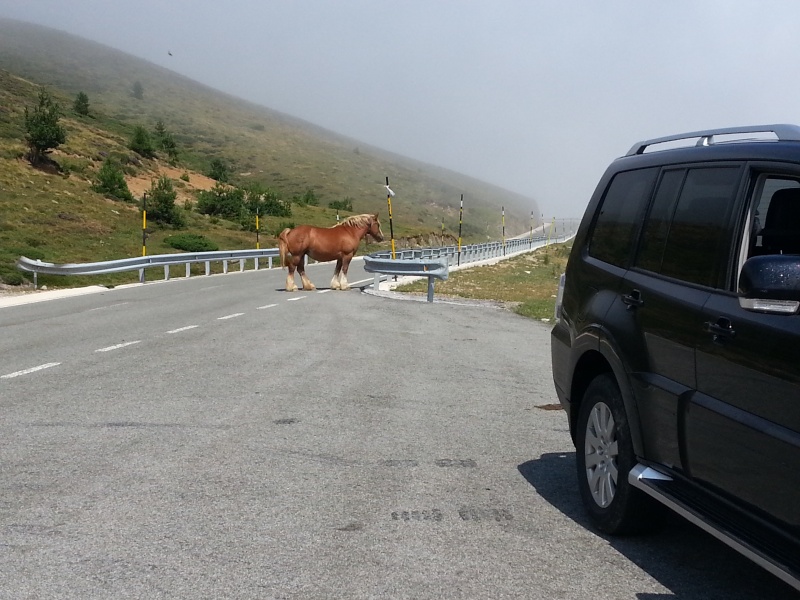 Quoi voir MONT de MARSAN 20130811