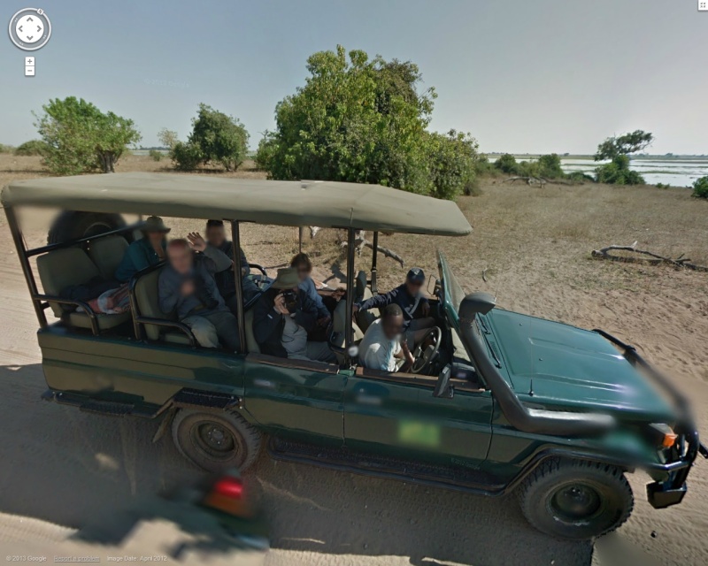STREET VIEW : Les animaux - Page 8 Car10