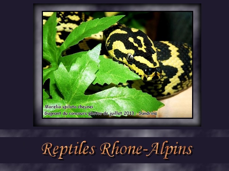 Reptiles Rhône-Alpins