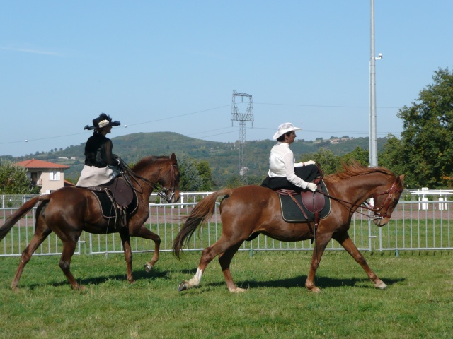 [11-12 Octobre] Equi'Passion 2008 à Saint-Galmier (42) Amazon14