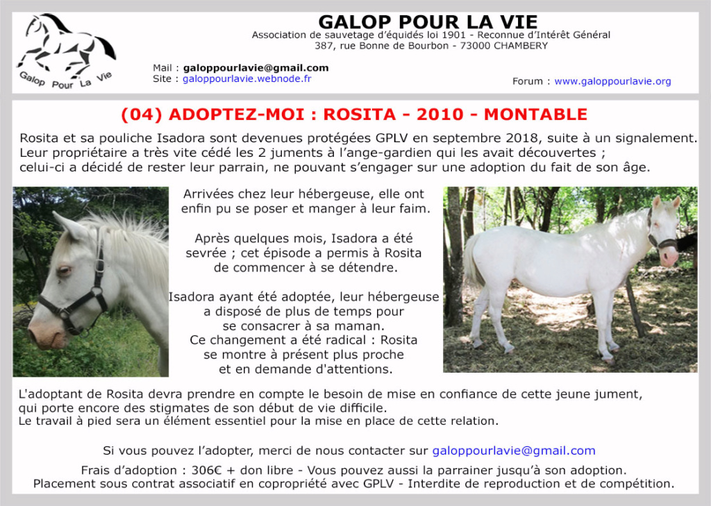 ROSITA - ONC Selle née en 2010 - adoptée en décembre 2020 par Laury Rosita18