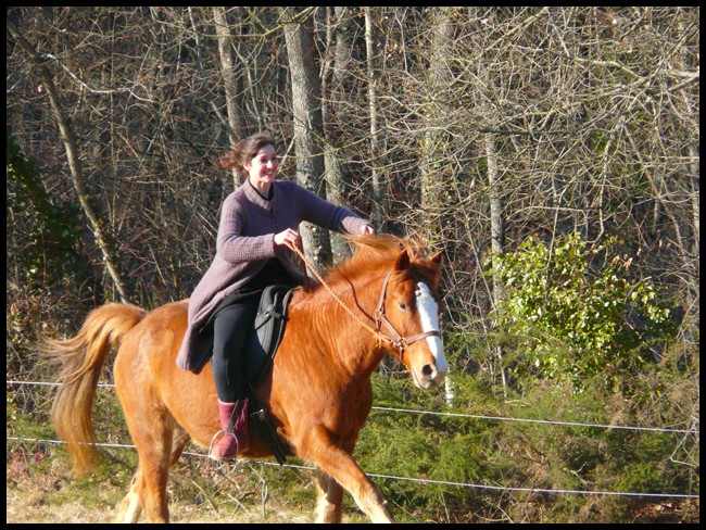 Beru...compagnon de toujours ! P1030833