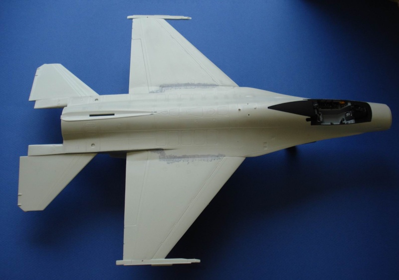 [REVELL] F16N Fighting Falcon  1/32 Croix10