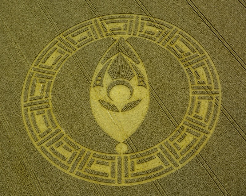 crop circles 2013-010