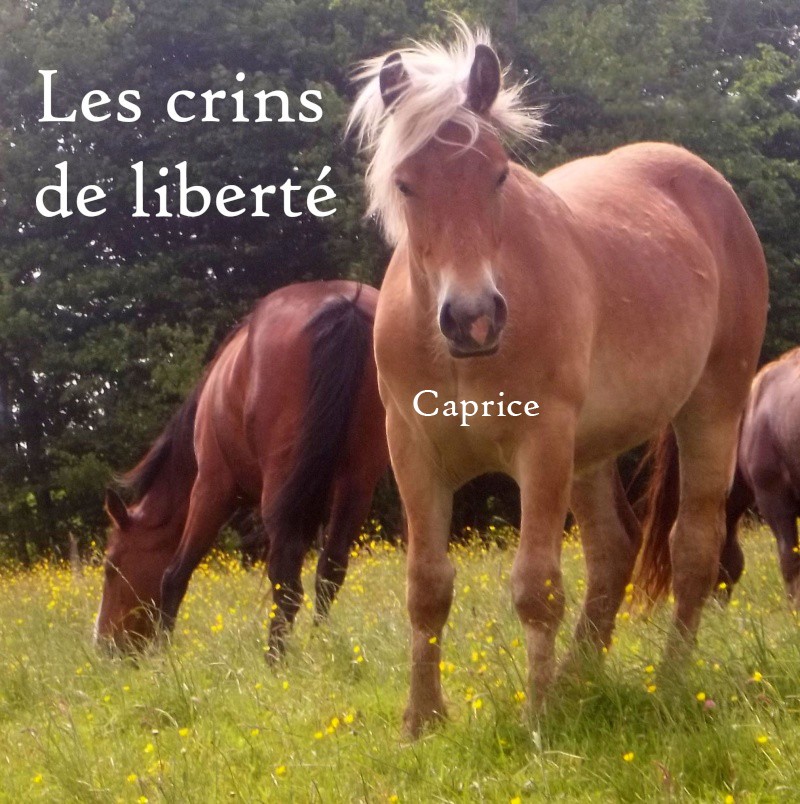 Dpt 70 - Caprice° - ONC Comtois - Sauvée par Simone ! (Septembre 2013) Caline11
