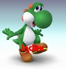 Mario Kart Wii! Yoshi110