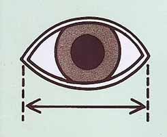 [Gabarit utile] Mesurer rapidement le diamètre d'yeux ? - Page 2 Measur10