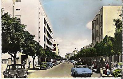 Meknès, la ville Nouvelle 1 - Page 14 Avenue20