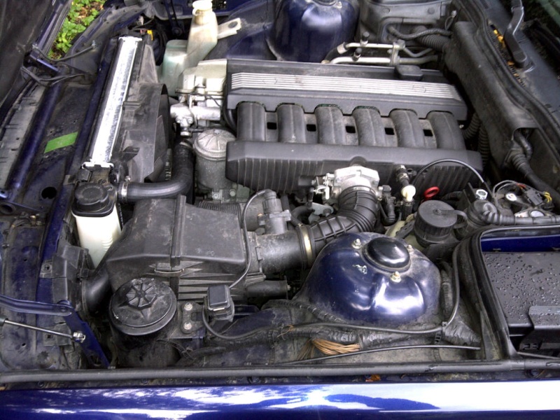 La Grande Bleue, E34 525iX Touring Genave12
