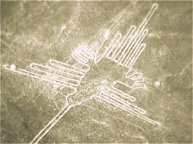 I disegni di Nazca Nazca210