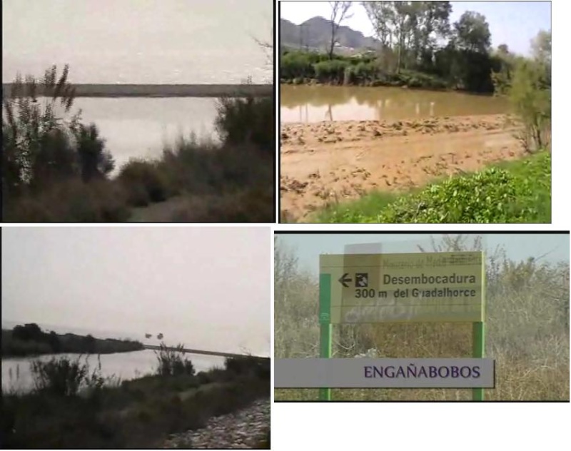 Tirando agua de los pantanos de Málaga...., y mientras tanto los medios diciendo que hay sequia. Free10