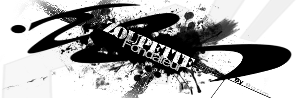 [o5/12/2oo8] Kit pour Zoupette Szoupe11