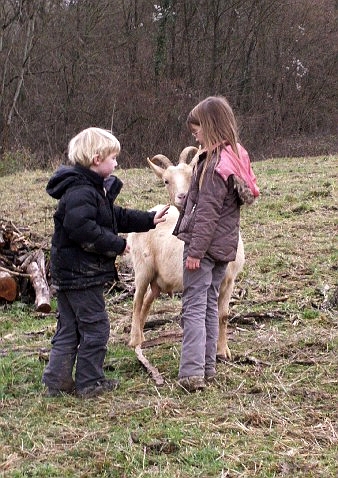 Ce ne sont pas les rênes du Père Noël, mais... Photo_35