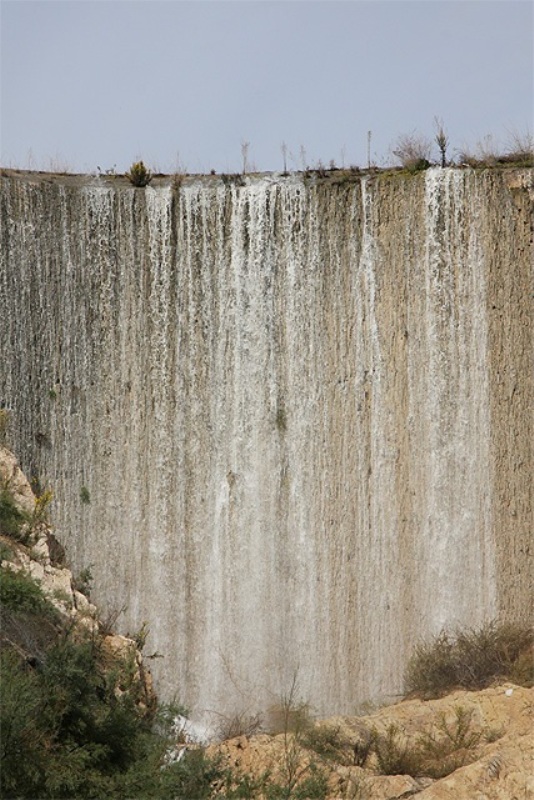 EL PANTANO DE ELCHE Pantan15