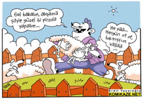 Birkaç Karikatür 25_gif10