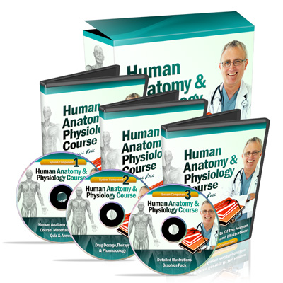 anatomy, and physiology, course, full Hapc-g10
