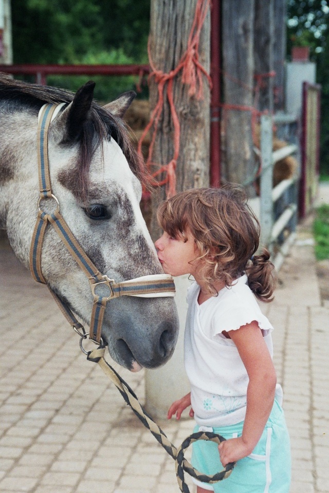 LE CHEVAL ET LA POESIE : Dernier vote... Fh000010