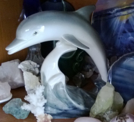 dolphin - Aquila Dolphin Hemara13