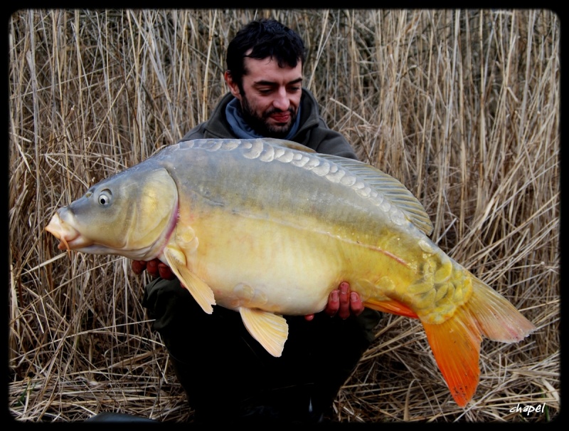 carpbook 2011 by chapel! Copie_11