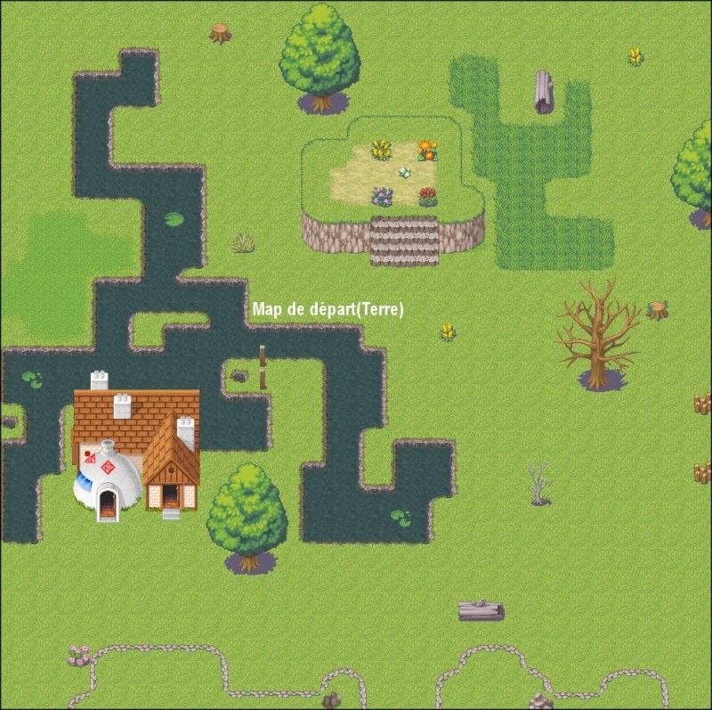 Images du jeu Map110