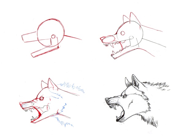 tuto : comment dessiner un loup ? (2) - Page 4 Loup_g10