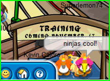 Ninjas Coming 17th! Captur23