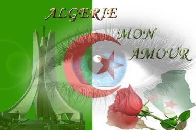 le drapeau d'algerie 3alam_10