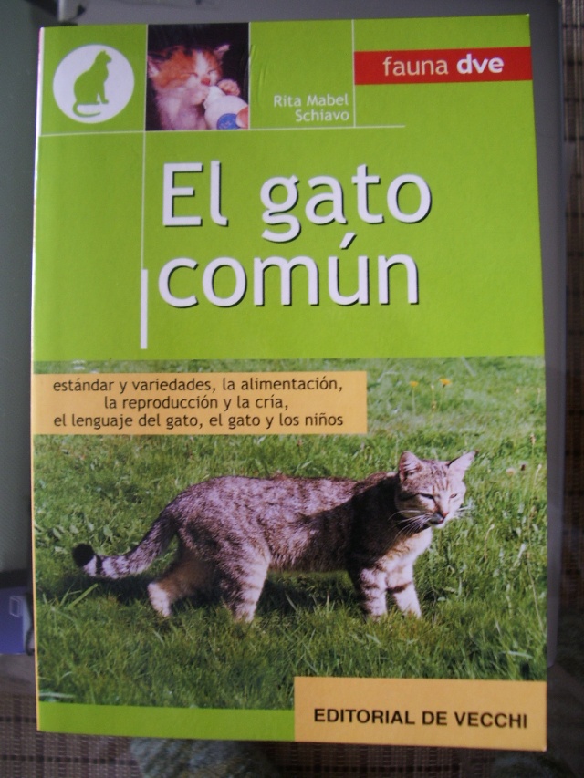 El Gato Comn - Rita Mabel Schiavo Imgp5510