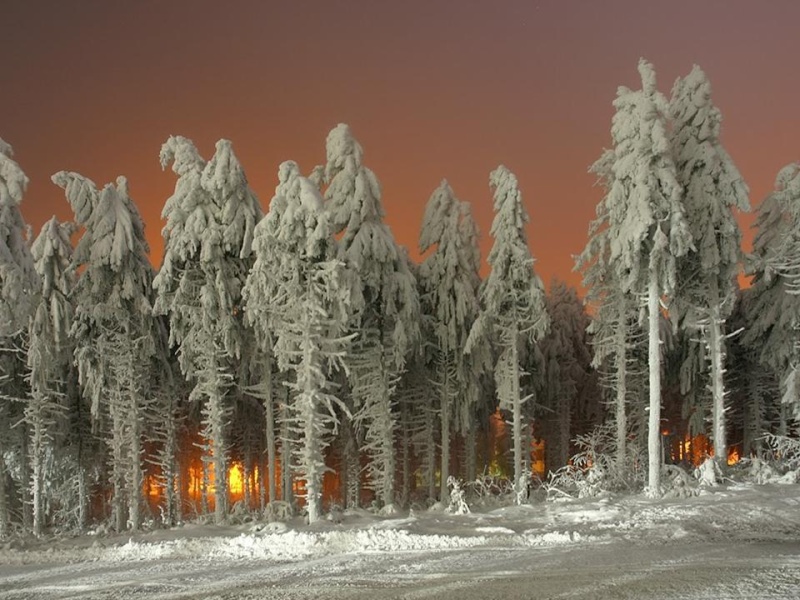 paysages hivernaux en finlande&images du monde 1012