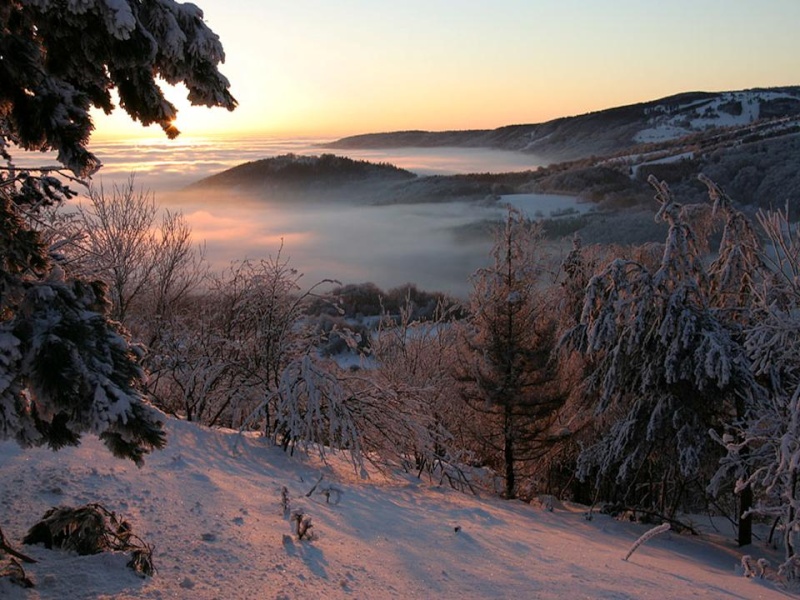 paysages hivernaux en finlande&images du monde 913