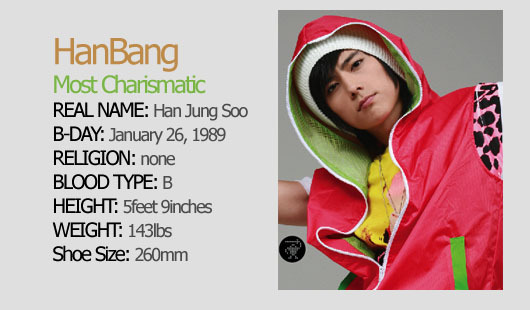 Hanbang profil 6a857310