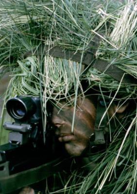 Les bases du camouflage... Snipe310