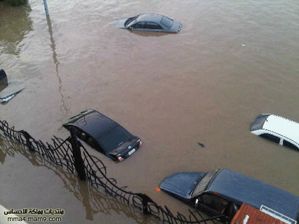 أمطار وسيول جدة ـ الأربعاء 26 يناير 2011 ـ صور 1010