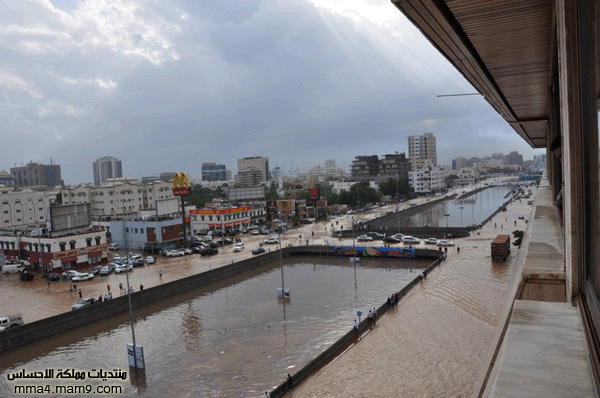 أمطار وسيول جدة ـ الأربعاء 26 يناير 2011 ـ صور 110