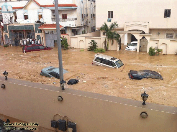 أمطار وسيول جدة ـ الأربعاء 26 يناير 2011 ـ صور 1110