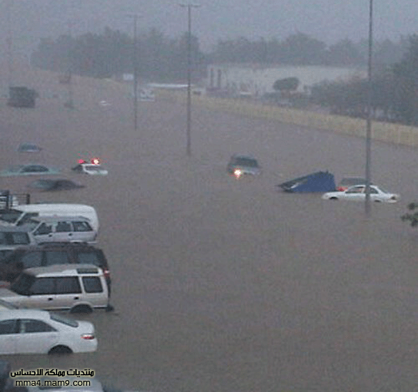 أمطار وسيول جدة ـ الأربعاء 26 يناير 2011 ـ صور 1210