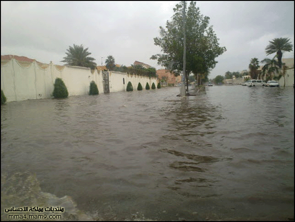 أمطار وسيول جدة ـ الأربعاء 26 يناير 2011 ـ صور 2210