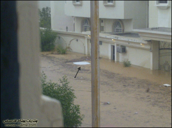 أمطار وسيول جدة ـ الأربعاء 26 يناير 2011 ـ صور 2410