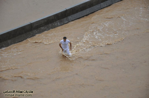 أمطار وسيول جدة ـ الأربعاء 26 يناير 2011 ـ صور 610
