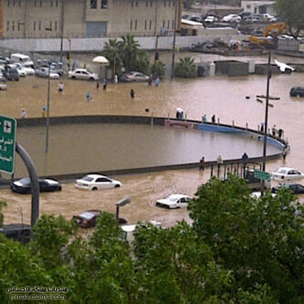 أمطار وسيول جدة ـ الأربعاء 26 يناير 2011 ـ صور 810