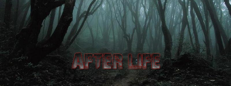 afterlife