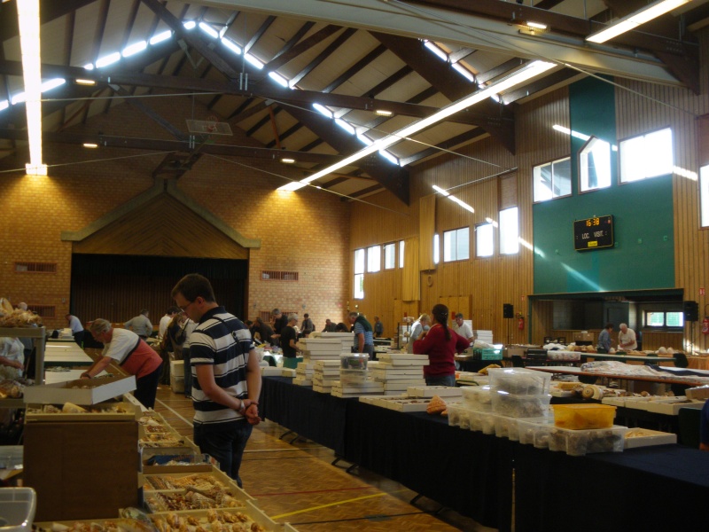 2013 Bourse internationale Ottmarsheim - 14 & 15 Septembre - AFC Région EST 01010