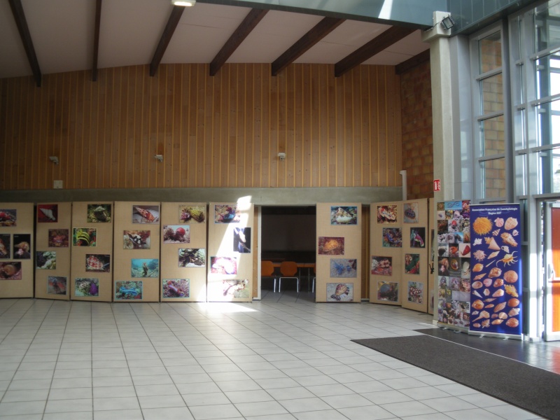 2013 Bourse internationale Ottmarsheim - 14 & 15 Septembre - AFC Région EST 01210